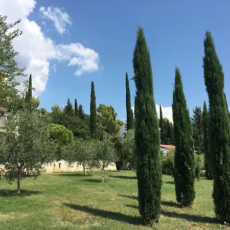 Margarita * Podgorica